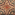 tribal